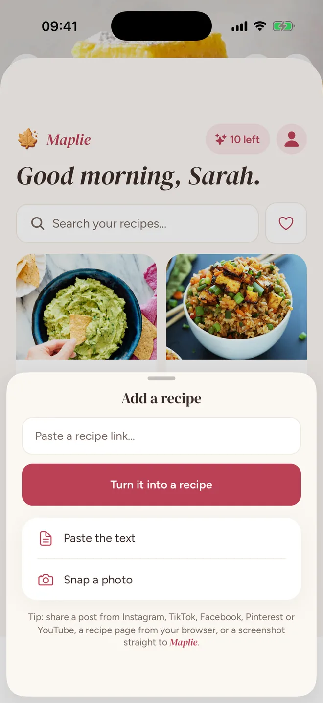 The add-a-recipe sheet: paste a link, paste the text, or snap a photo